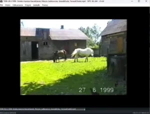 filmy video vhs na komputer